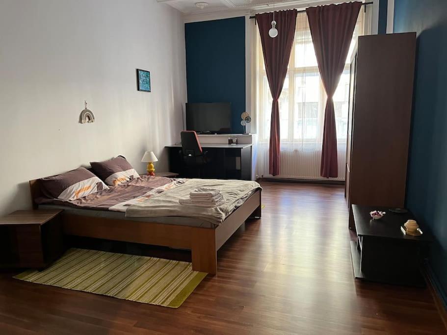 Studio Apartament Timişoara